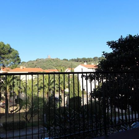 Grand Appart. Avec Terrasse A 300M De La Plage A Collioure - Fr-1-309-261 Apartment Exterior photo